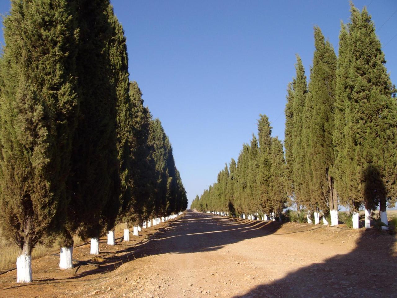 Cortijo Ferradores Humilladero Exterior photo