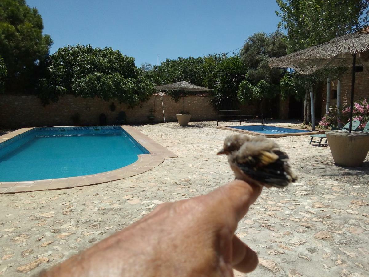 Cortijo Ferradores Humilladero Exterior photo